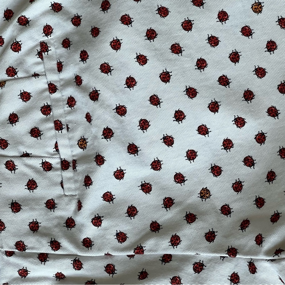 J. Crew White Shorts with Ladybugs - Picture 4 of 8